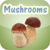 Mushrooms