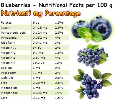 Nutritional Facts Blueberries