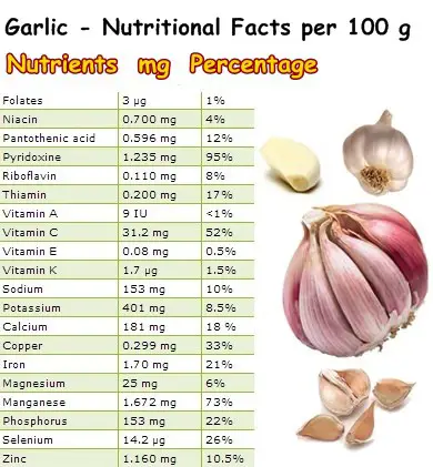 Nutritional Facts Garlic