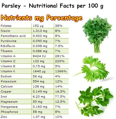 Nutritional Facts Parsley