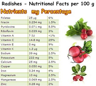 Nutritional Facts Radishes