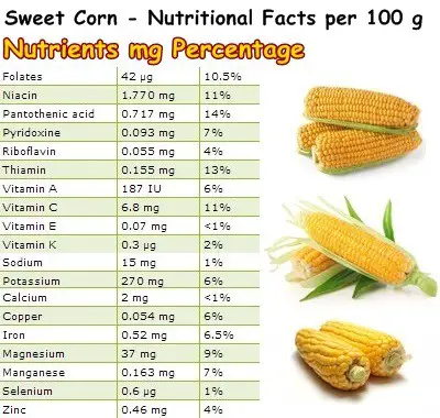 Nutritional Facts Sweet Corn