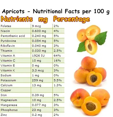 Nutritional Facts apricots