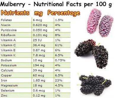 Nutritional Facts mulberries