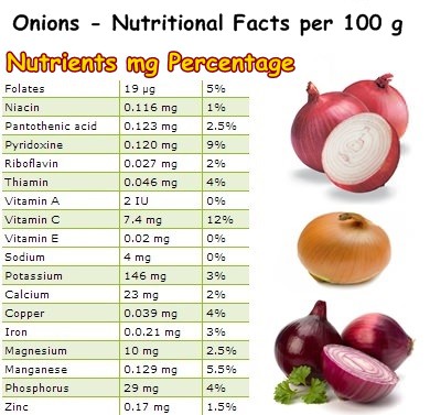 Nutritional Facts onions