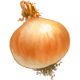 Onion