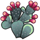 Prickly pear