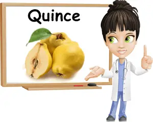 Quince benefits