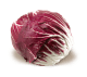 Radicchio