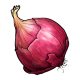 Red onion