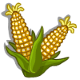 Sweet Corn