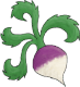 Turnip greens