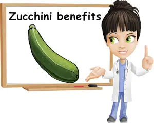Zucchini benefits