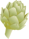 artichoke