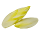 Endive