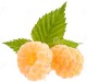 yellow raspberries