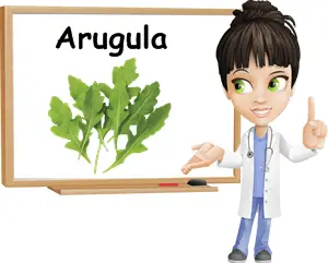 Arugula benefits