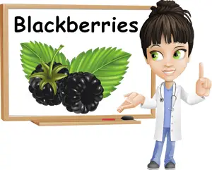 Blackberry benefits