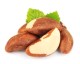 Brazil Nut