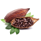 Cocoa Beans