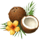 Coconut