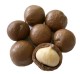 Macadamia Nut