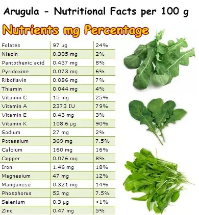 Nutritional Facts Arugula