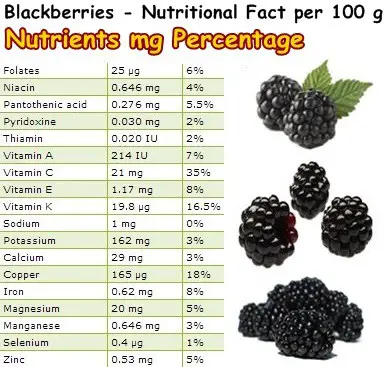 Nutritional Facts Blackberries