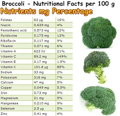 Nutritional Facts Broccoli