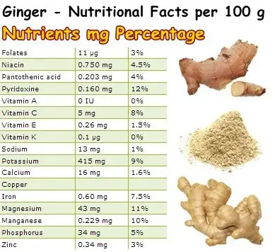 Nutritional Facts Ginger