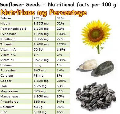 Nutritional Facts Sunflower Seeds