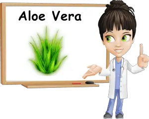 Properties Aloe Vera