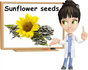 Sunflower seeds benefits