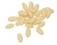 pine nut