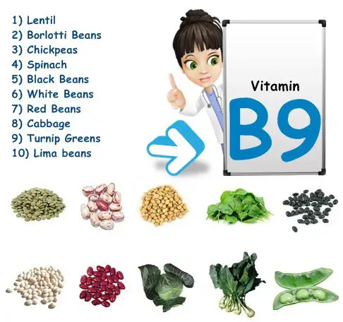 vitamina B9