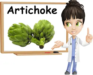 Artichoke