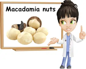 Macadamia nuts benefits
