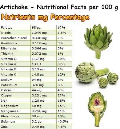 Nutritional Facts Artichoke