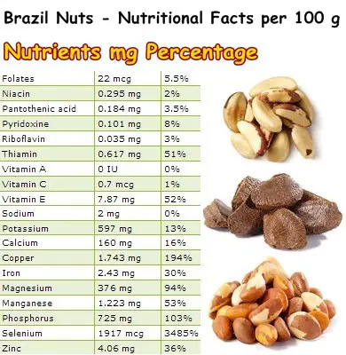 Nutritional Facts Brazil Nut