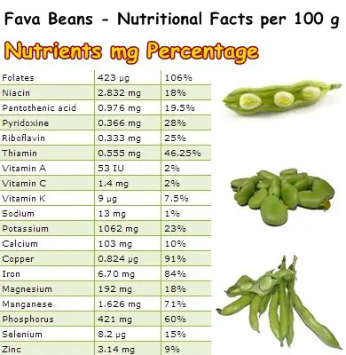 Nutritional Facts Fava Beans