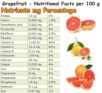 Nutritional Facts Grapefruit