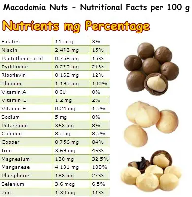 Nutritional Facts Macadamia Nuts