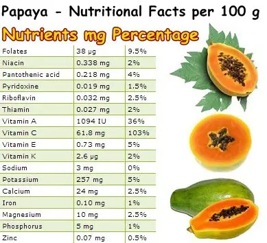 Nutritional Facts Papaya