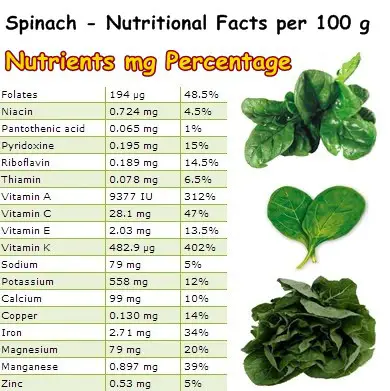 Nutritional Facts Spinach