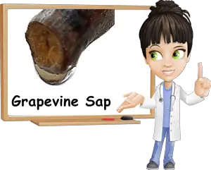 Properties Grapevine Sap