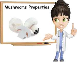 Properties Mushrooms