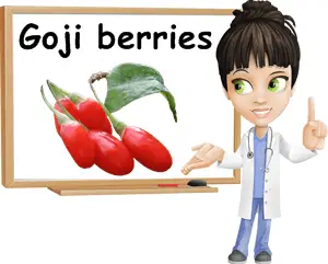 Goji berries benefits