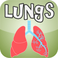 Lungs