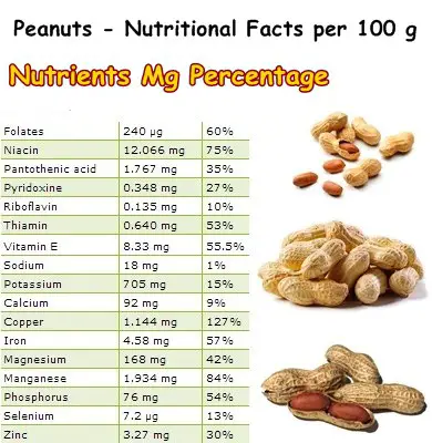 Nutritional Facts Peanuts