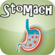 Stomach